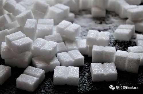 跑步減肥4大飲食誤區(qū),80 的人都犯了...